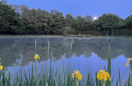Henrichemont House | Country house with ponds