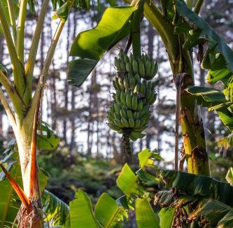 Onerahi House | Country Nirvana