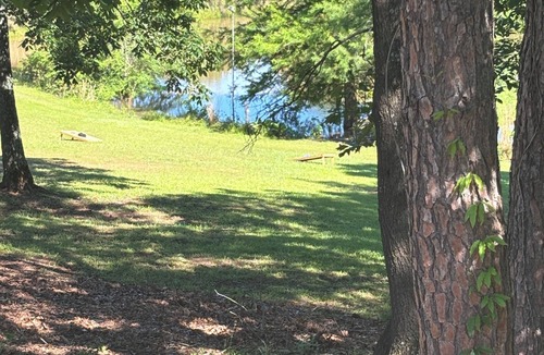 Lone Star Cottage | Country Ohana with WiFi and AC in lovely Daingerfield - fishing, swimming etc!
