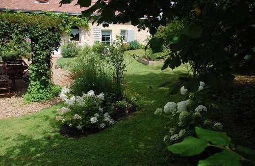 Bourgueil Bed & Breakfast | COUNTRY PROPERTY ON THE EDGE OF FOREST AND VINEYARDS