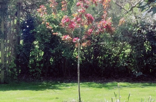 Bilsington House | Country retreat