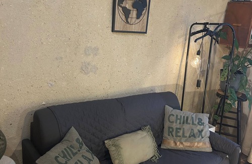 Vignoux-sur-Barangeon Apartment | Country studio with swimming pool and various animals to discover