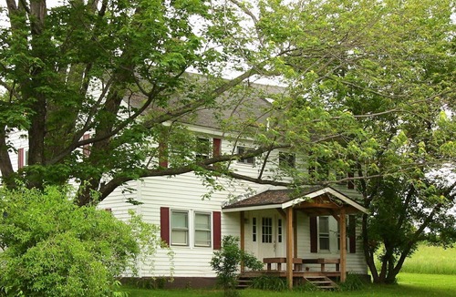 Johnsonville Apartment | Country setting 2 Bedroom apartment short term vacation rental.
