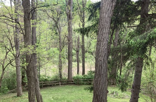 Ionia House | Country setting nestled in the Finger Lakes.