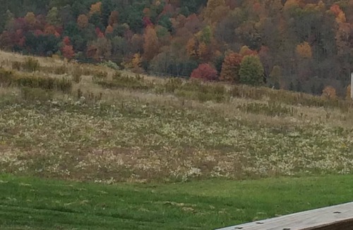 Ralston Apartment | Country setting, nice views, near state game land trails.