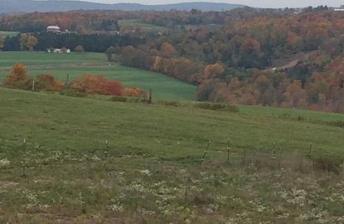 Ralston Apartment | Country setting, nice views, near state game land trails.