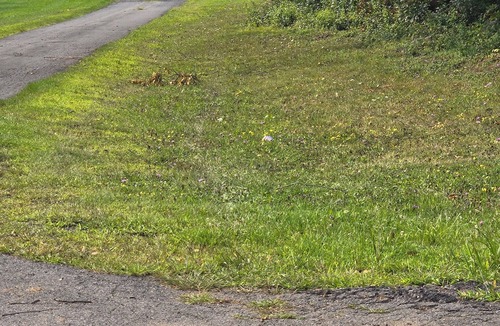 Whitehall House | country setting