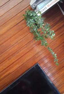 Sungai Lembing Hotel | Country View Inn