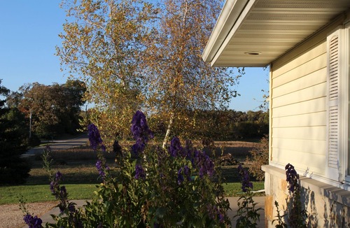 Middleton House | Countryside Beauty - Min to Madison/Perfect for families/Events&Dogs! Lrg yard