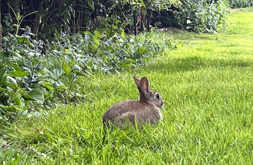 Godstone House | Countryside bungalow with off-road parking