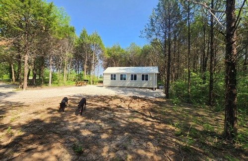 Leadwood Cabin | Couples Retreat cabin 2