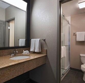 Medical Center District Hotel | Courtyard by Marriott San Antonio Medical Center