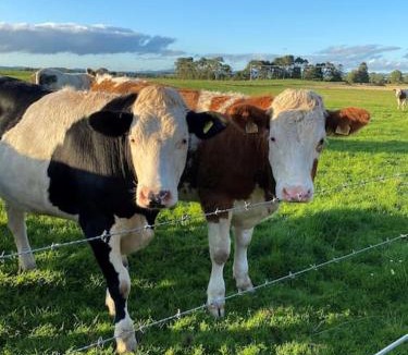 Lochmaben House | Courtyard Cottage