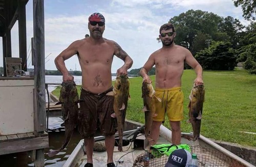 Centre Cabin | Cowan Creek Resort