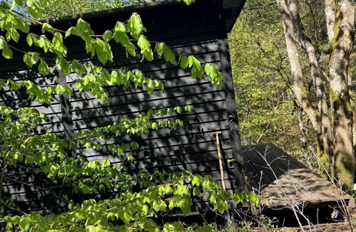 Them Cabin | Coziest (note primitive) wooden cabin close to the sky mountain in the middle of the forest