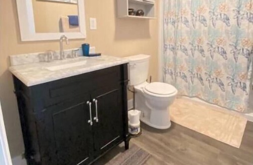 Locust Grove Apartment | Cozy 1/bdr basement apartment