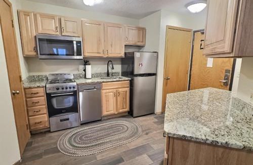 Lutsen Apartment | Cozy 1 bed end unit ski in ski out condo