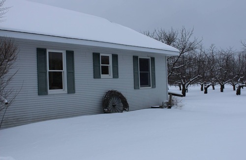 Suttons Bay Apartment | Cozy 1-bedroom apartment in Suttons Bay near Tart trail