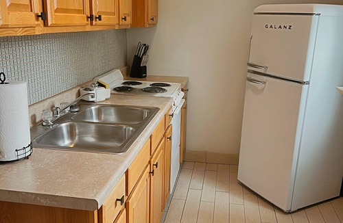 Soulard Apartment | Cozy 1-bedroom apartment with WiFi, AC in charming St. Louis