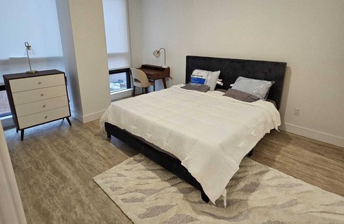 Downtown Syracuse Apartment | Cozy 1-bedroom apartment In a a Luxury Amenity Building!
