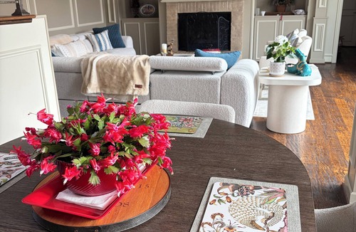 Far North Dallas Bed & Breakfast | Cozy 1-bedroom bed & breakfast in charming Dallas with AC