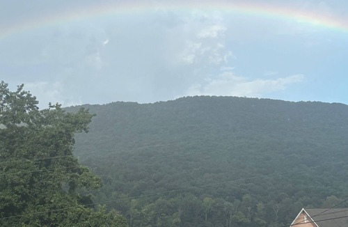 Chattanooga Cabin | Cozy 1-bedroom cabin just 16 minutes from Ruby Falls