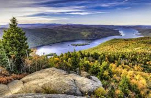 Blossvale Cabin | Cozy 1 Bedroom Cabin!