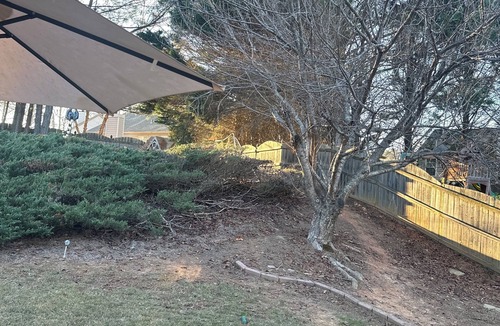 Suwanee House | Cozy 1-bedroom for rent, 4 bedrooms house in soothing Suwanee with AC and heat