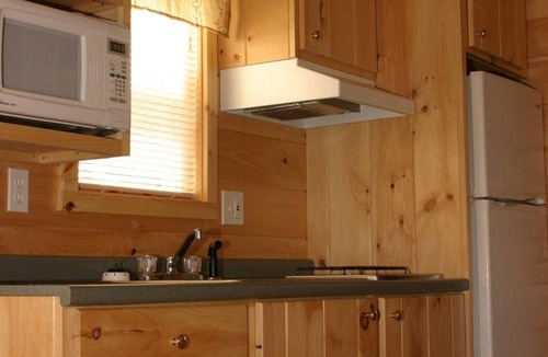 Milford Cabin | Cozy 1-BR cabin with additional sleeping loft. Less than 5 mi from Cooperstown