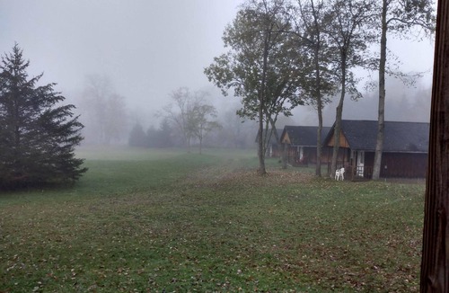 Blodgett Mills Cabin | COZY 1 room cabin with bathroom