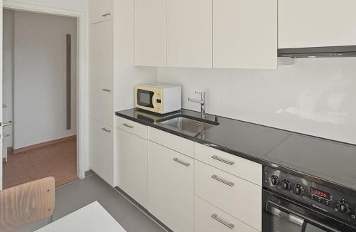 Muhlebach Apartment | Cozy 1BR near lake with balcony - Mill 422