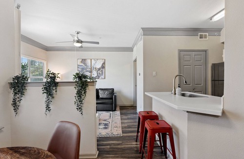 North Burnet Apartment | Cozy 1BR next to the Domain 9004