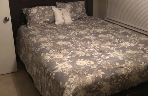Georgetown Apartment | Cozy 2 Bd 1 Bath apartment