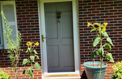 Peters Creek House | Cozy 2 bedroom house with Fiber Optic WiFi