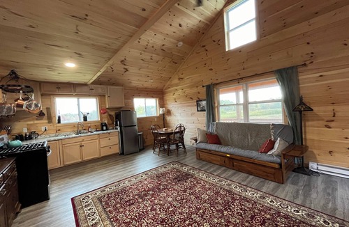 Salisbury Center Cabin | Cozy 2-bedroom off-grid cabin in charming, picturesque Newport
