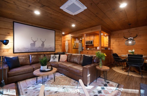 Pine Cove Cabin | Cozy 2 BR Cedar Mountain Retreat - Fireplace & Spa