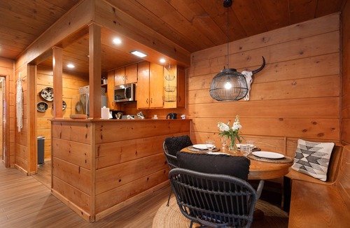 Pine Cove Cabin | Cozy 2 BR Cedar Mountain Retreat - Fireplace & Spa