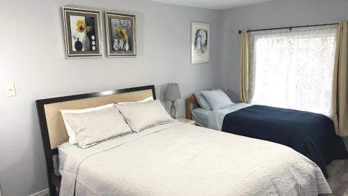 Ingleside Apartment | Cozy 2BR, Totally Private With Parking, Convenient Public Transit