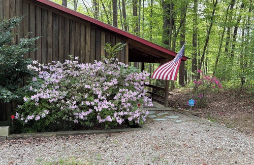 Clarksville Cabin | Cozy 3-bedroom cabin with private dock