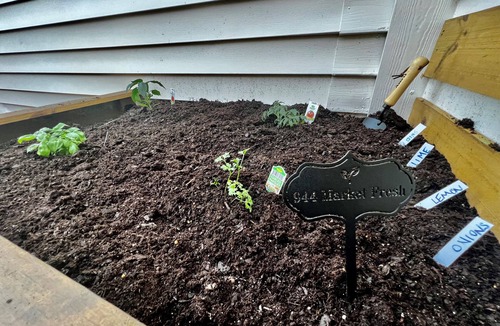 Flamingo Parks House | Cozy 3BR West Palm Beach Cottage