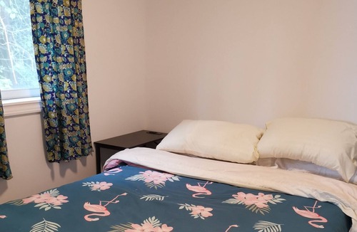 Omemee Cottage | Cozy 4 bed room waterfront Pigeon Lake Cottage