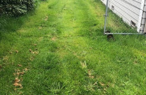 Holly Villa | Cozy 5-bedrooms 2 baths house with hot tub