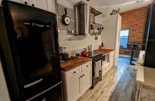 Tampa Heights Apartment | Cozy AF Gothic Rose Gallery. Sleeps 4 with I pull out queen size bed.