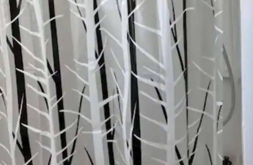 Downtown Apartment | Cozy Affordable 2beds/1bath