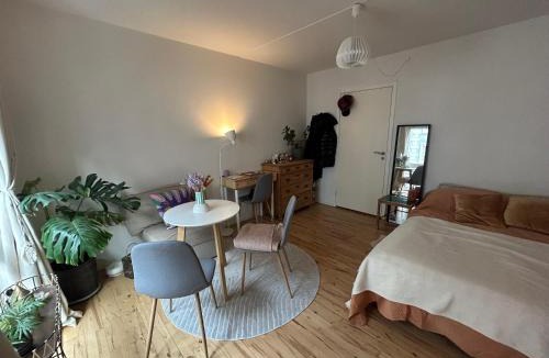 København V Apartment | Cozy and beautiful studio in the heart of Copenhagen