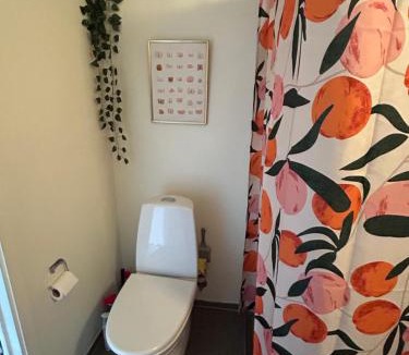 København V Apartment | Cozy and beautiful studio in the heart of Copenhagen
