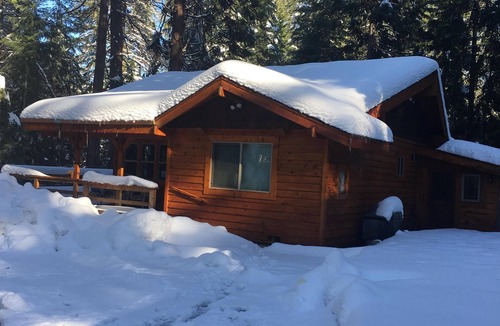 Alta Cabin | Cozy and comfortable wooded cabin