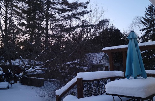 Georgina House | cozy and inviting cottage by Lake Simcoe
