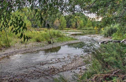 Columbus Apartment | Cozy Angler's Apt - Steps to Trout Fishing River!