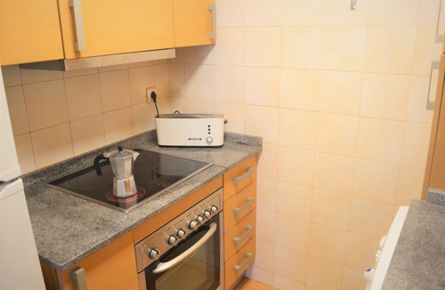 Esterri D'Aneu Apartment | Cozy apartment with a big fireplace